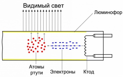 Енергозберігаючі лампи - наскільки це вигідно, будівельний портал