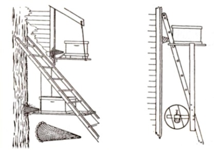 Enciclopedia apiculturii