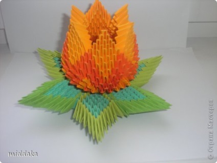 Fotografia articolelor artizanale din origami modulare - origami din hârtie - catalogul de imagini video și de fotografii ale articolelor artizanale din