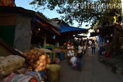 Piersici de fructe talipapa pe porumb