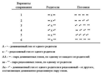 Genetica culorilor câinilor (pe exemplul chihuahua)