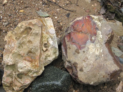 Excursii geologice - 2009