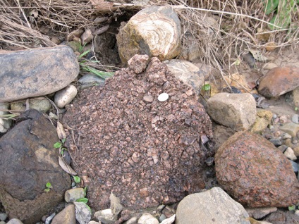 Excursii geologice - 2009