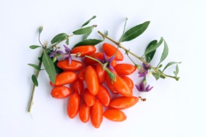 Goji berry (goji) - magazin online - adeniu acasă din semințe în plante