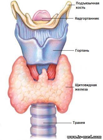 Hormonul producătoare de adenom al glandei pituitare