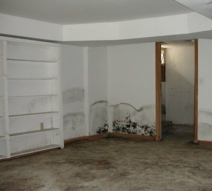 Ciuperci pe pereții apartamentului - repararea și decorarea apartamentului