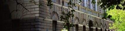 Institutul Africii al Academiei de Științe din Rusia, instituția bugetară federală a științei