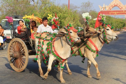 Rezultatele călătoriei în jurul Myanmar