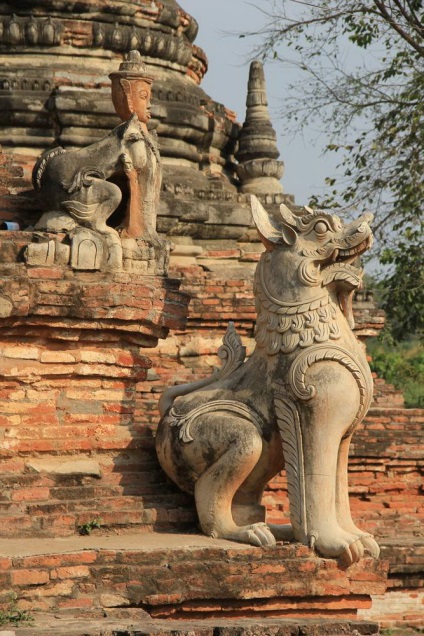 Rezultatele călătoriei în jurul Myanmar