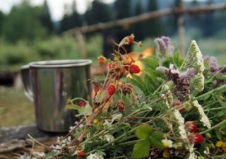 Din ce ierburi și flori puteți prepara ceai în timp ce faceți o plimbare sau pe un picnic