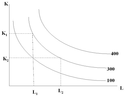 Isoquant и нейните видове, BSEU на икономиката - блог