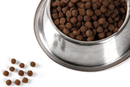 Ce vitamine sunt necesare pentru câini, pentru cățeluși simptomele de avitaminoză la câini