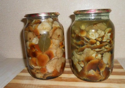 Cum sa marinam ciupercile pentru iarna - viata mea