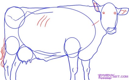 Cum de a desena o vaca in creion pas cu pas