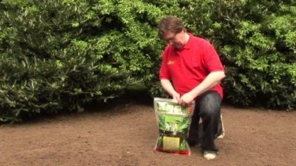 Cum să semănați iarba de gazon cu propriile mâini corecte - instruire și îngrijire