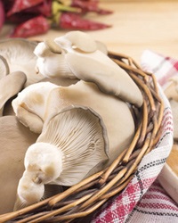 Cum să gătești ciupercile - rețete cu ciuperci
