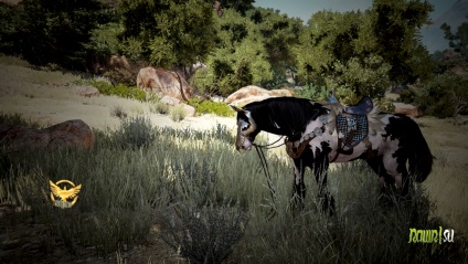 Cum să tren un cal într-un deșert negru - Ghiduri - Raven - un forum despre jocuri online