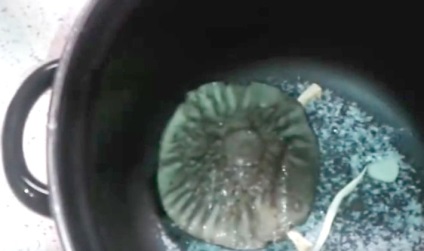 Cum să sare ciuperci într-o tigaie sub jug se poate face în vase de aluminiu