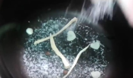 Cum să sare ciuperci într-o tigaie sub jug se poate face în vase de aluminiu
