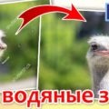 Hogyan távolítsuk el a vezetékeket a Photoshopban lévő fotókban