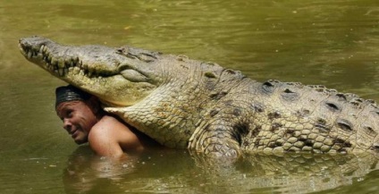 Cum de a opri crocodili