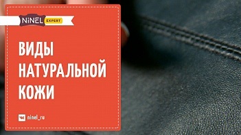 Як вибрати норкову шубу яке хутро вибрати - зимовий і літній, самки або самця