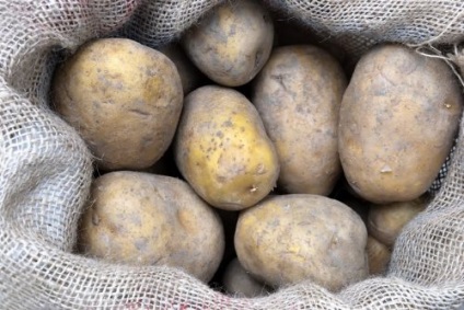 Cum să crești cartofii într-o pungă