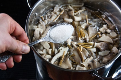 Cum sa iei ciupercile de stridii acasa rapid si delicios