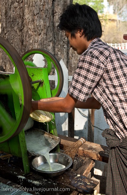 Cum sa traiesti in Myanmar (Burma), mai proaspat - cel mai bun din Runet pentru o zi!