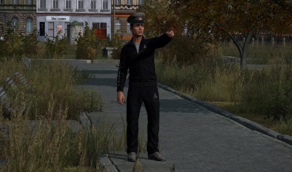 Dayz kártya önálló