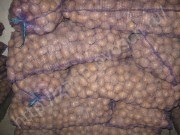 Cartofi angro cumpara de la producător, cartofi pentru a cumpara la prețurile cu ridicata, vânzarea de cartofi