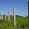 Câlpi de cărămidă pentru un gard
