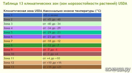 Clasificarea arborilor și arbuștilor pe grupe de zone de arbori și arbuști ornamentali