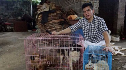 Pisica a fost salvata cu un minut inainte de moarte povestea unei fotografii teribile de la festivalul de carne din Yulin - vegan