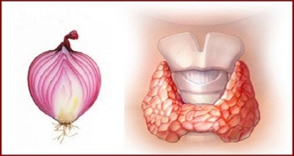 Червени лук помага за лечение на заболявания на щитовидната жлеза рецепта