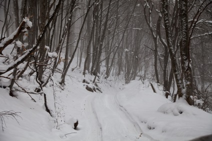 Крим караби яйла, внедорог