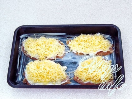 Carne de pui cu brânză în rețetă cuptor cu fotografie