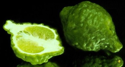 Loțiune împotriva pierderii de bergamot, vârf