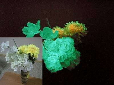 Luminofor - instrucțiuni pentru flori