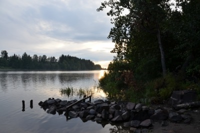 Pietre mici pe Vuoksa, ursus speleo