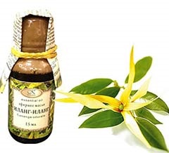 Ulei de ylang-ylang pentru proprietăți de păr, rețete