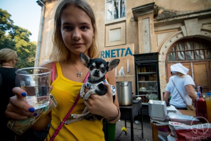 Farul, cei 20 de câini amuzanți ai Odesei (partea a 2-a)