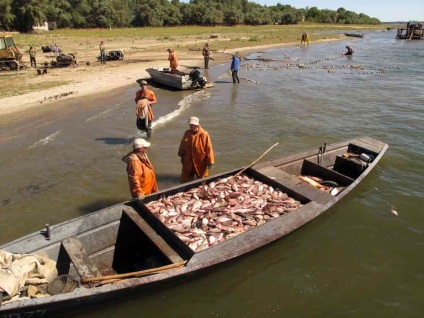 Horgászhely a Volga-n - a Nizhny Novgorod régió halászterületének listája