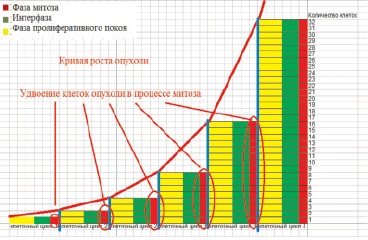 Az ismétlődő és metasztatikus tumorok növekedésének modellezése - alapkutatás (tudományos