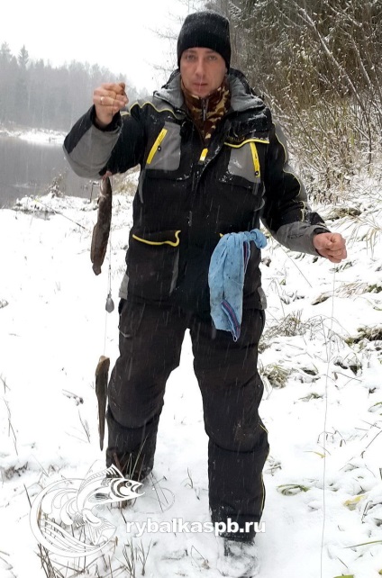 Burbot - a halászat és az élőhelyek a leningrádi régióban mindenféle halak és fogások helye