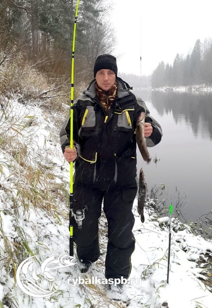 Burbot - a halászat és az élőhelyek a leningrádi régióban mindenféle halak és fogások helye