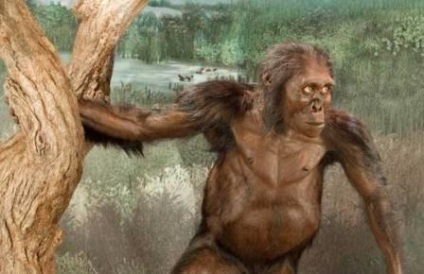 A hírhedt Australopithecus luci halálának okát nevezik el - tudományos hírek