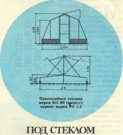 Specii de sere Nesklko