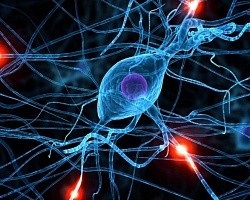 Simptomele neurologice și tratamentul în Moscova - Cum să tratați neurologia cu Somostoyatelno