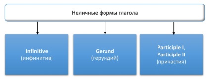 Cunoștințe, prelegere, verb